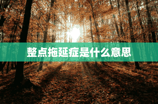 整点拖延症是什么意思